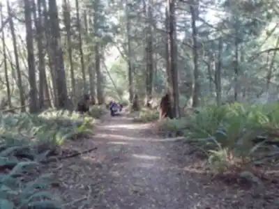 Kinnikinnick Park hiking trail - natural landscape