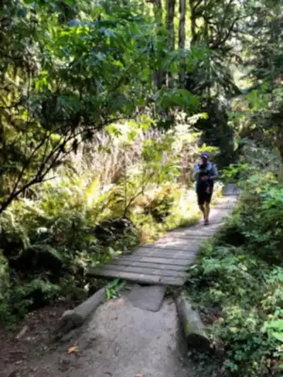 Discover Kinnikinnick Park in Vancouver Coast Mountains