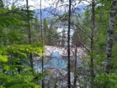 Explore Lower Myra Falls trail