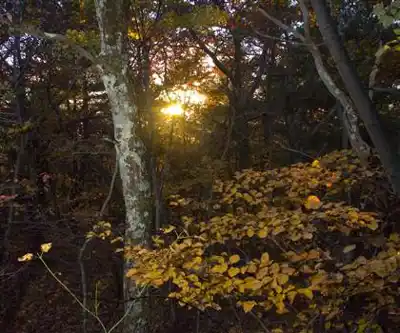 BashBish Falls hiking trail - natural landscape