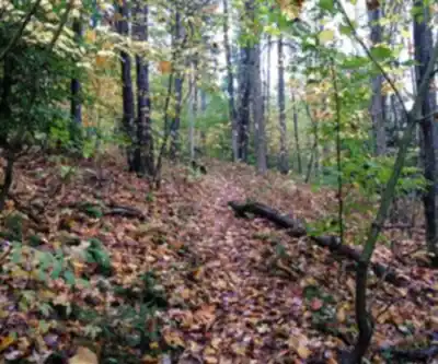 Hiking view of Virgil Mountain, New York