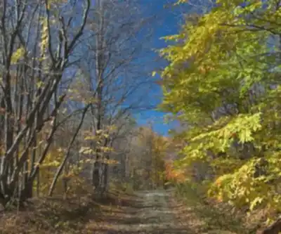 Virgil Mountain, New York hiking trail - natural landscape