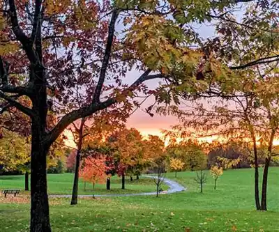 Centrepointe Park hiking trail - natural landscape