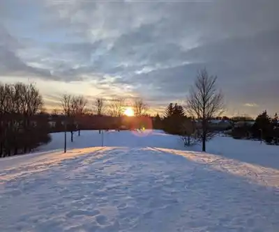 Centrepointe Park hike - nature and outdoors