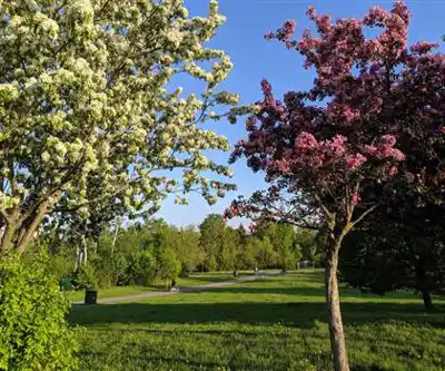 Discover Centrepointe Park in Ottawa and Countryside