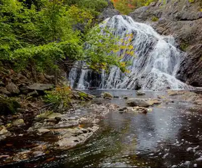 Welsford Falls hiking trail - natural landscape