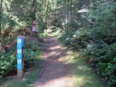 Explorer le sentier Gabriola Island