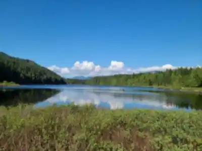 Sentier de randonnée Rolley Lake - paysage naturel