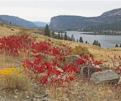 Vaseux Lake hiking trail - natural landscape