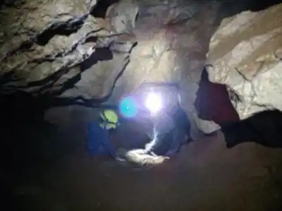 Vue en randonnée de Horne Lake Caves