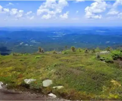 Mount Mansfield hiking trail - natural landscape