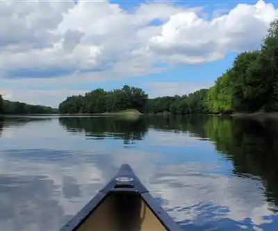 Cranberry Pond hiking trail - natural landscape