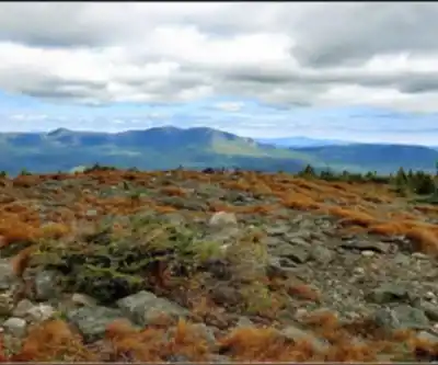 Little Bigelow Mountain, Maine hiking trail - natural landscape