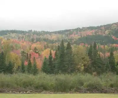 Four Ponds Mountain, Maine hiking trail - natural landscape