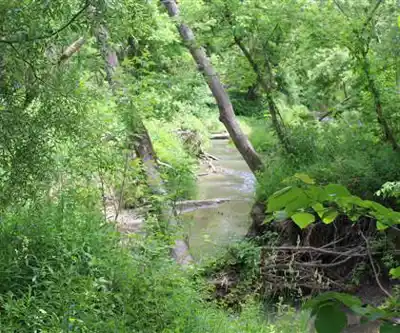 Short Hills Provincial Park hiking trail - natural landscape