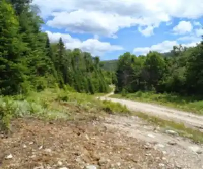 Vue en randonnée de Elephant Mountain, Maine