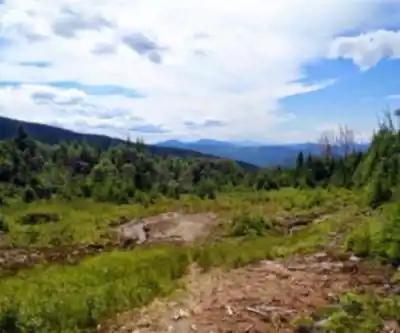 Sentier de randonnée Elephant Mountain, Maine - paysage naturel