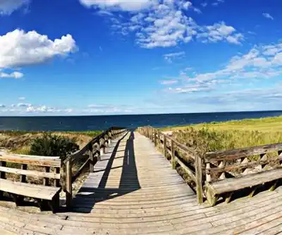 Crane Beach hiking trail - natural landscape