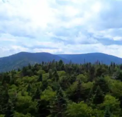 Vue en randonnée de Bread Loaf Mountain, Vermont