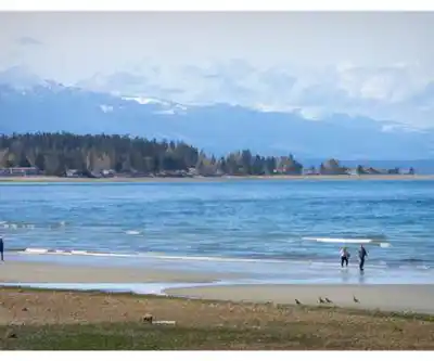Sentier de randonnée Qualicum Park - paysage naturel