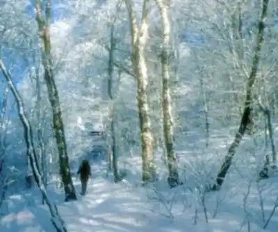 Sentier de randonnée Pico Peak, Vermont - paysage naturel