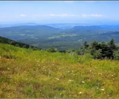 Killington Peak hiking trail - natural landscape