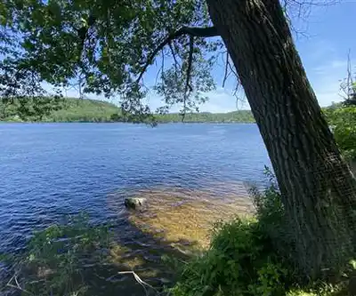 Gatineau Park #57 (Browns Cabin) hiking trail - natural landscape
