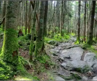 Hiking view of Little Killington, Vermont