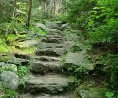Little Killington, Vermont hiking trail - natural landscape