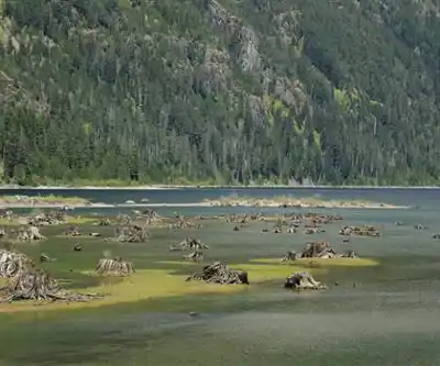 Cream Lake hiking trail - natural landscape