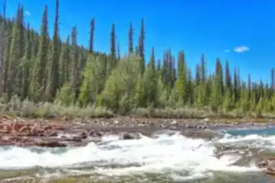 Découvrir Crescent Falls en David Thompson Country