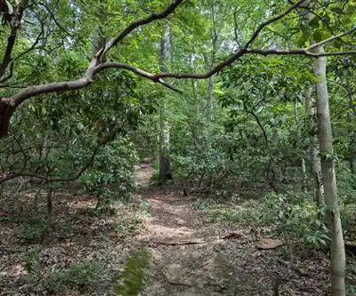 Sentier de randonnée Huber Woods Park - paysage naturel