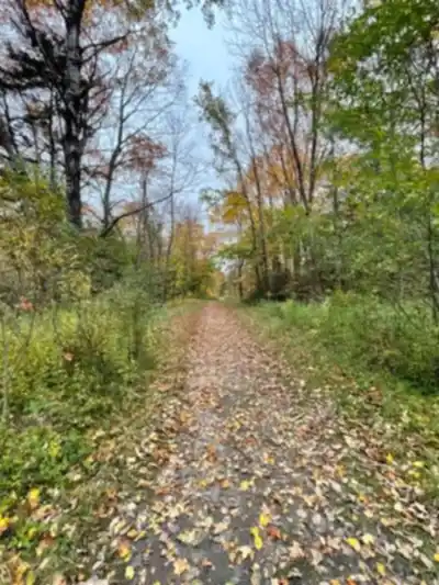 Bromley Mountain, Vermont hike - nature and outdoors