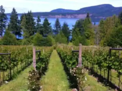 Paysage de North Pender Island - randonnée pédestre