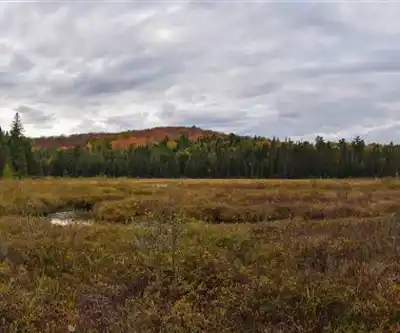 Beaver Pond hiking trail - natural landscape