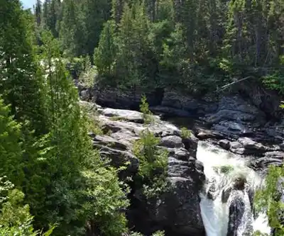 Paysage de Mont Albert - randonnée pédestre