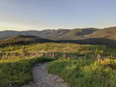 Randonnée Mont Albert - nature et plein air