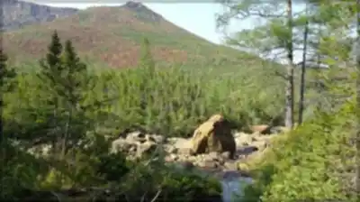 Découvrir Mont Albert en Gaspésie - Îles-de-la-Madeleine