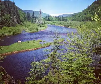 Camp Mercier scenery - hiking