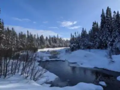 Camp Mercier hike - nature and outdoors