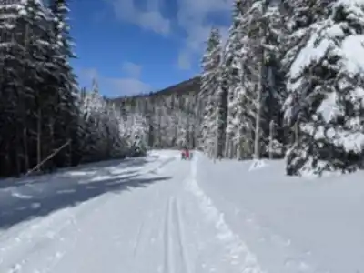 Hiking view of Camp Mercier