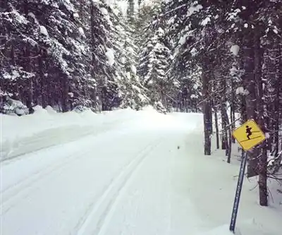 Explore Camp Mercier trail