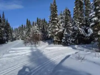 Discover Camp Mercier in Québec City Region