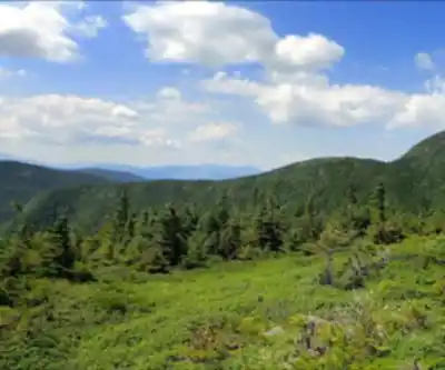 Goose Eye Mountain, Maine hiking trail - natural landscape