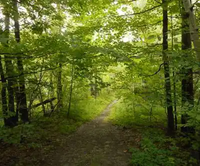 Découvrir Mont Saint-Hilaire en Montérégie