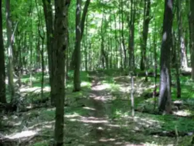 Discover Mont Rougemont in Montérégie