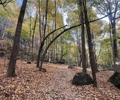 Explore Mont Rougemont trail
