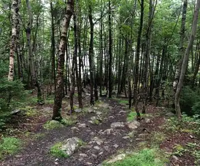 Sentier de randonnée Russell Lake - paysage naturel