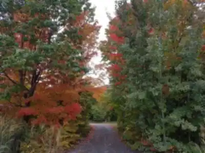 Discover Mont Saint-Grégoire in Montérégie