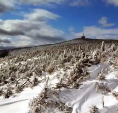 Discover Cannon Mountain in White Mountains